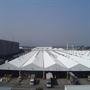 11 Japanese roofs 11