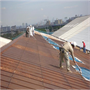 Rust Grip application on metal roof